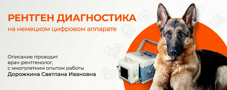 Главное фото клиники