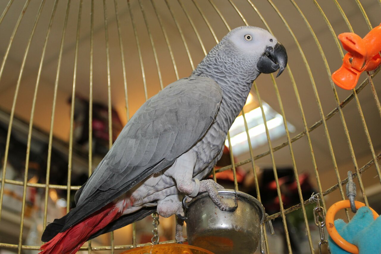 clinic general image