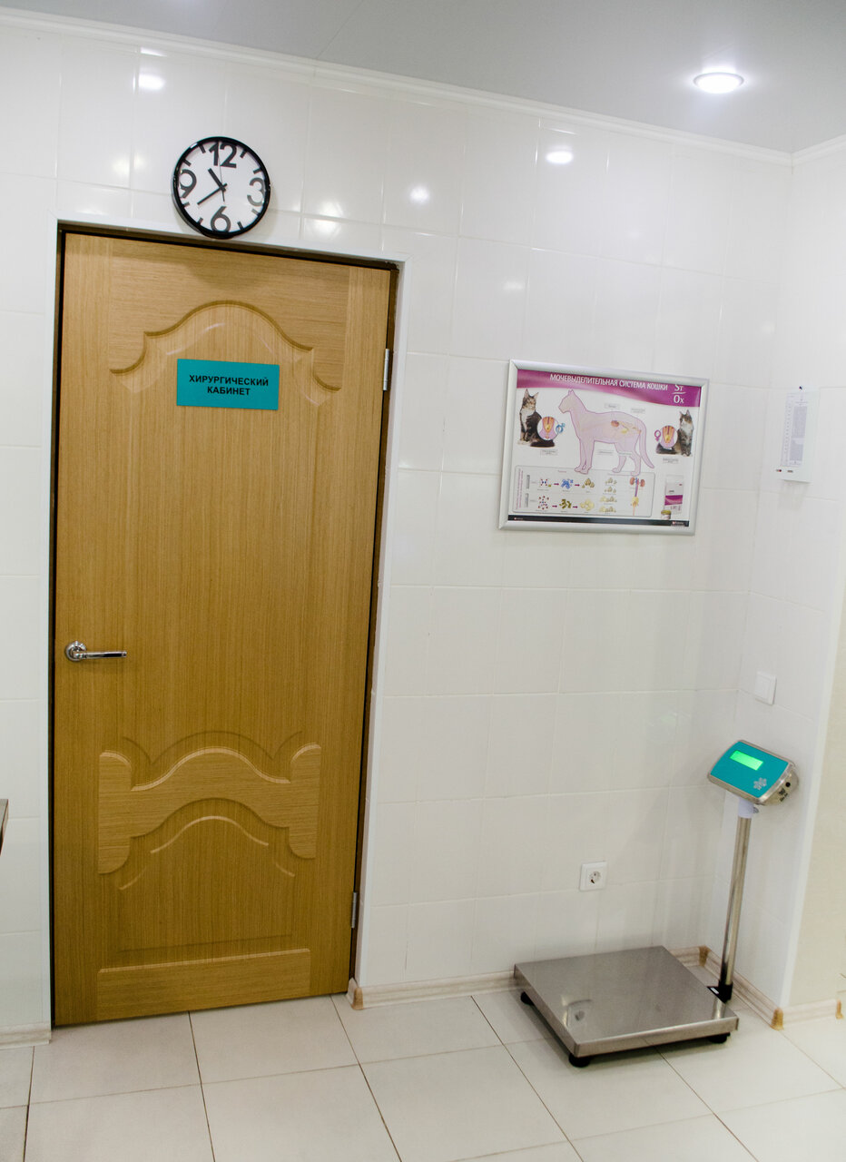 more clinic photos 12488