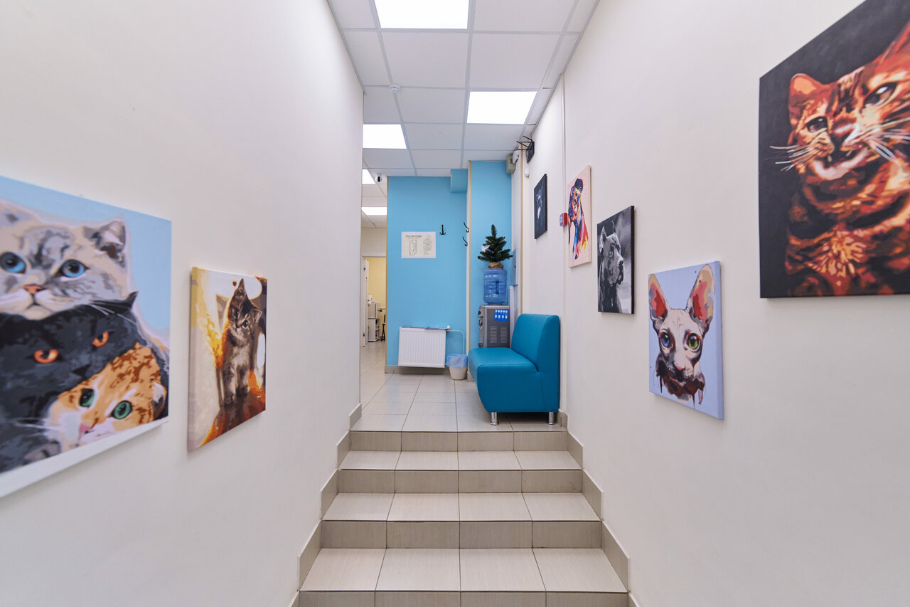 more clinic photos 24864