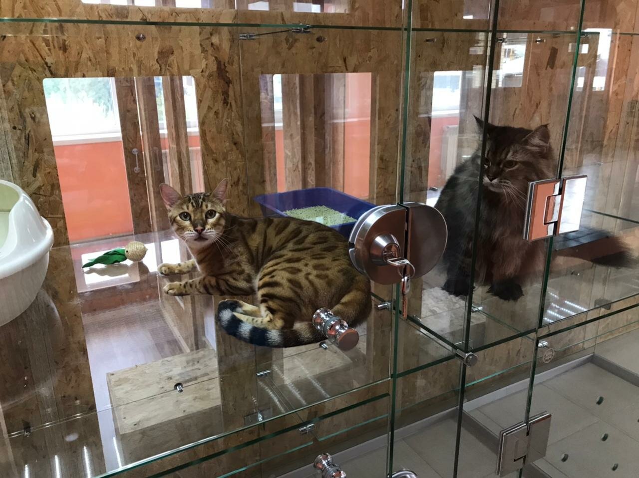 more clinic photos 76310