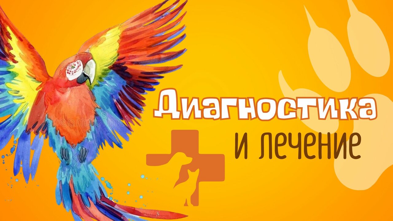 Фото клиники 11341