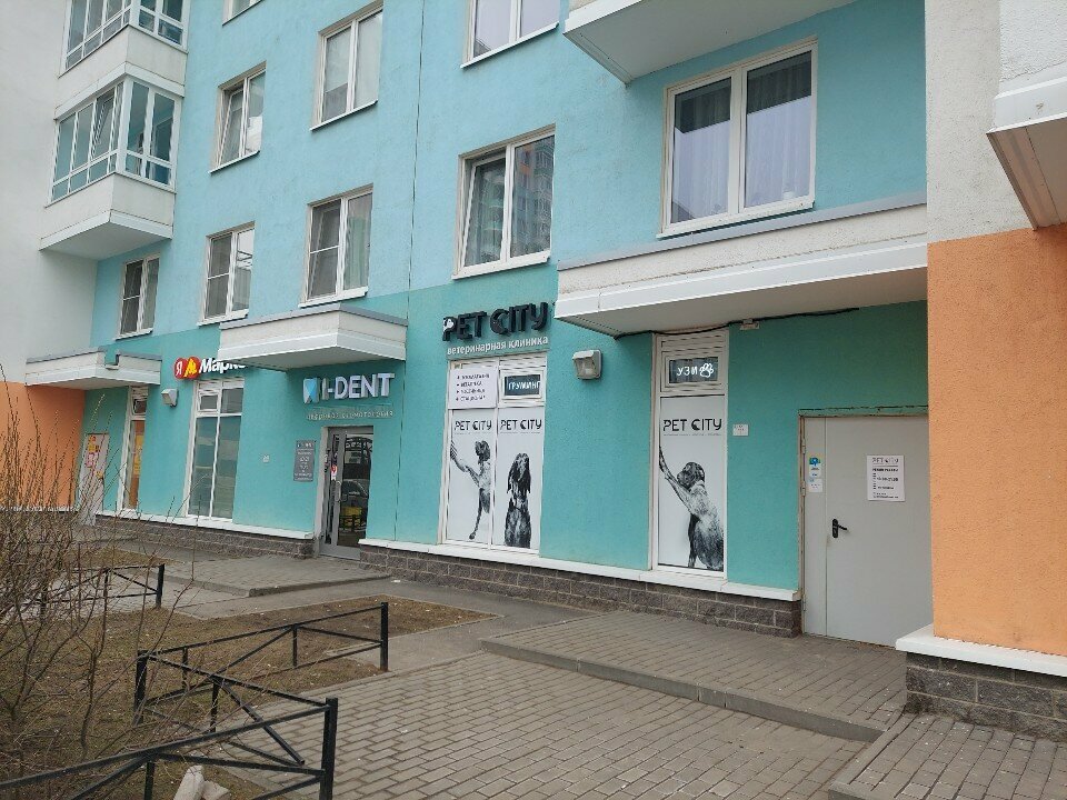 Фото «ПетСити»