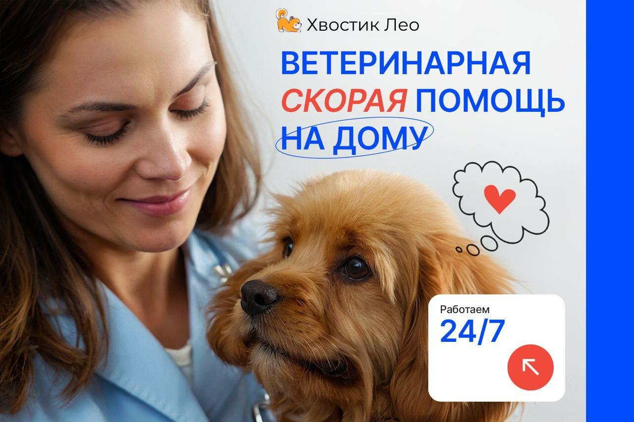 Фото «Хвостик Лео»