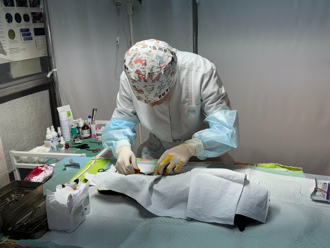 Гусь-Хрустальная районная станция по борьбе с болезнями животных