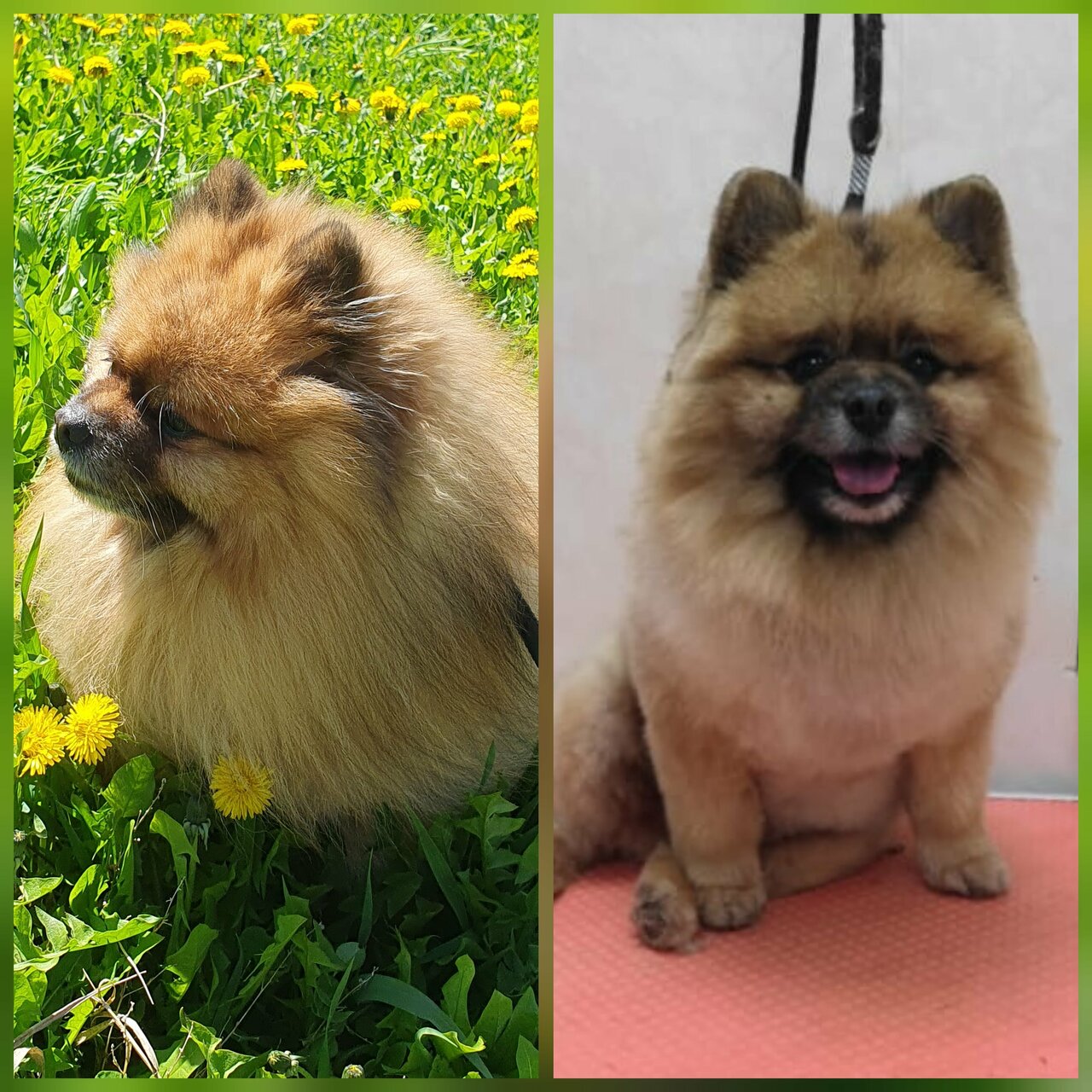 clinic general image