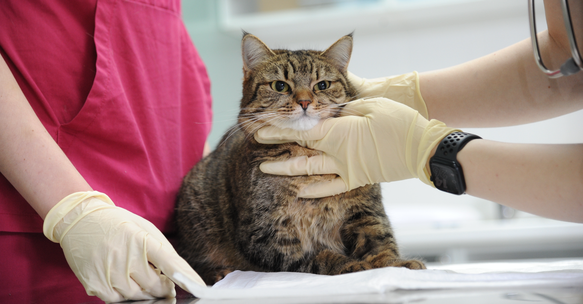 clinic general image