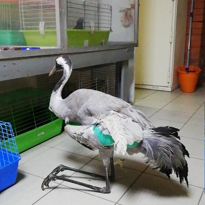 more clinic photos 71615