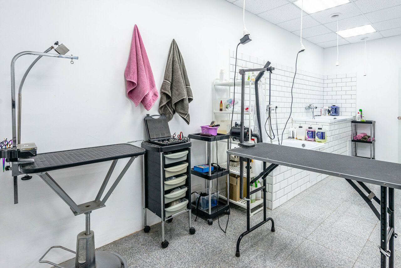 Салон груминга ChapЛин