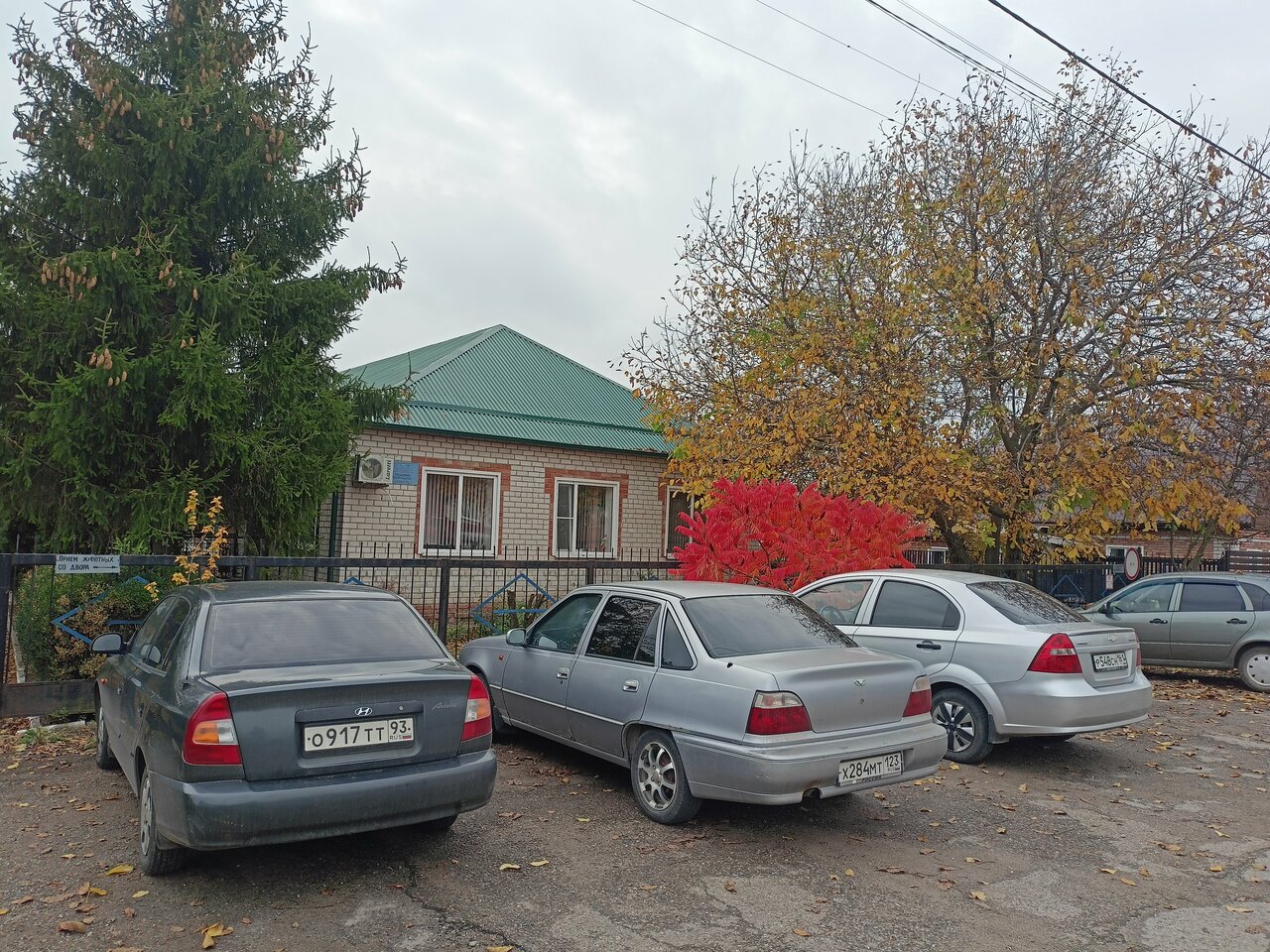Фото клиники Государственное бюджетное учреждение Краснодарского края управление ветеринарии Староминского района