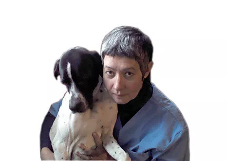 Домашний любимец