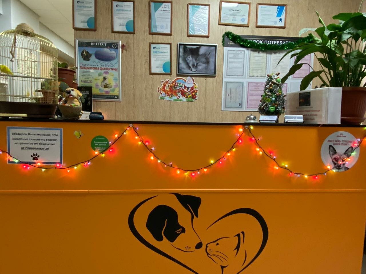 more clinic photos 16736