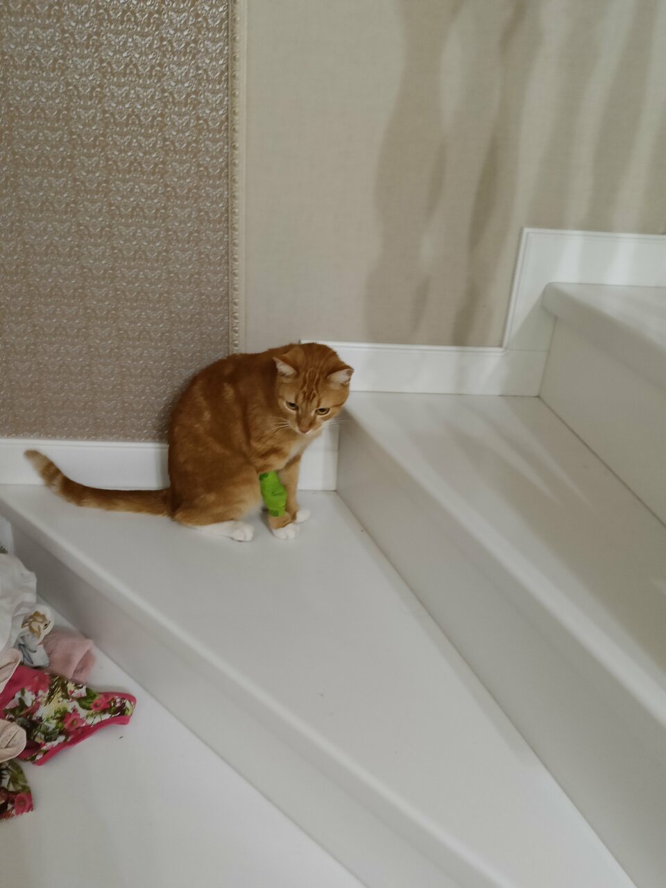 more clinic photos 36980