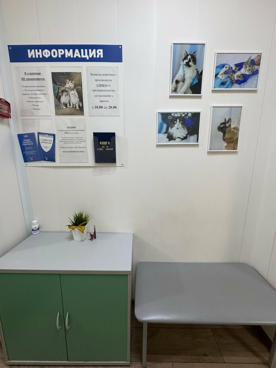 Фото клиники 72955