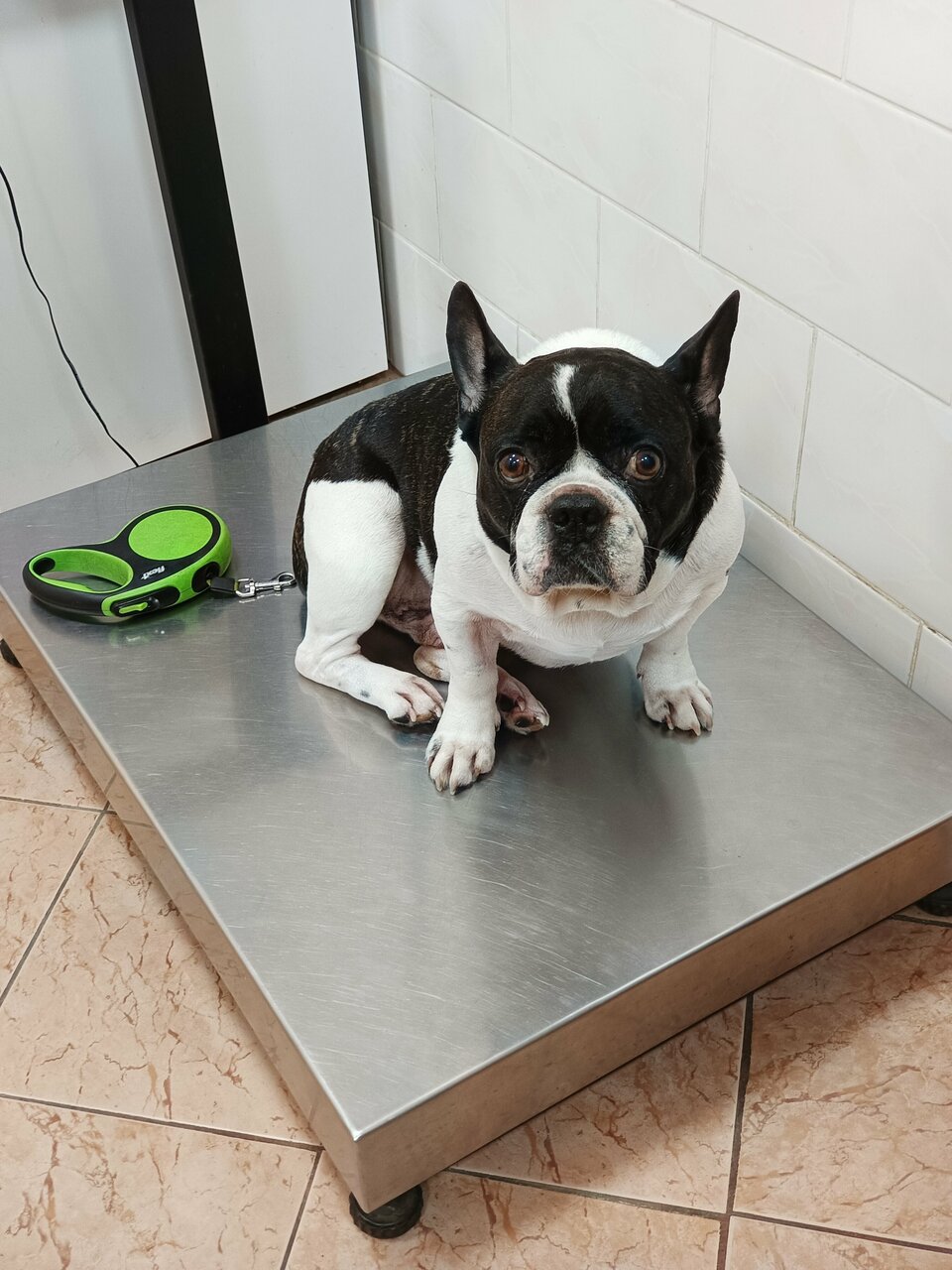 Фото клиники 40738