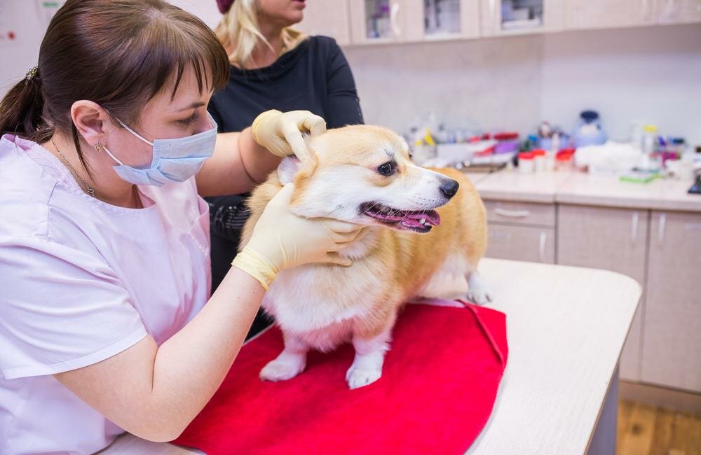 clinic general image