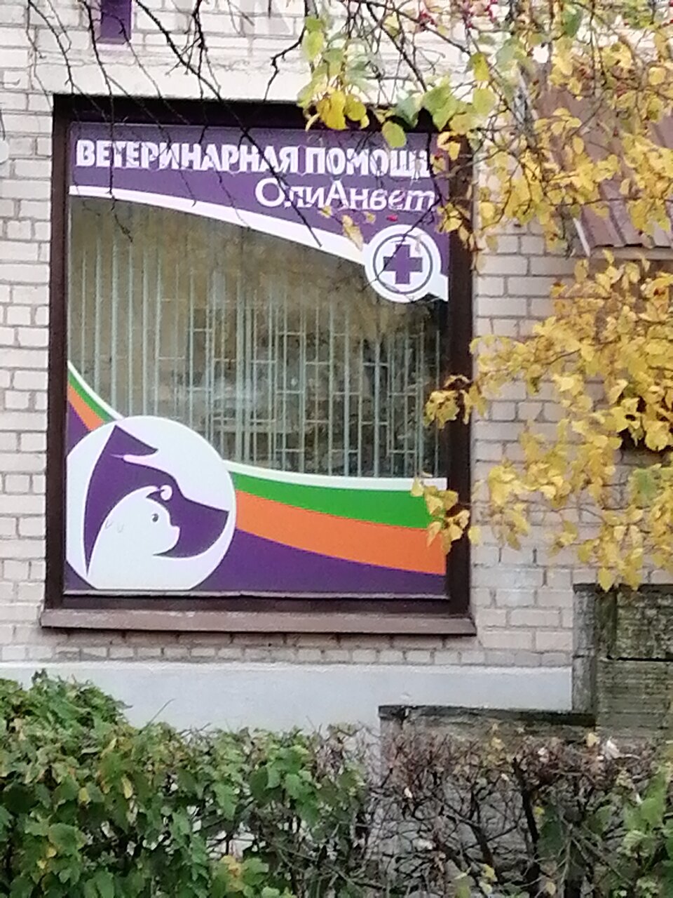 Фото клиники 41357