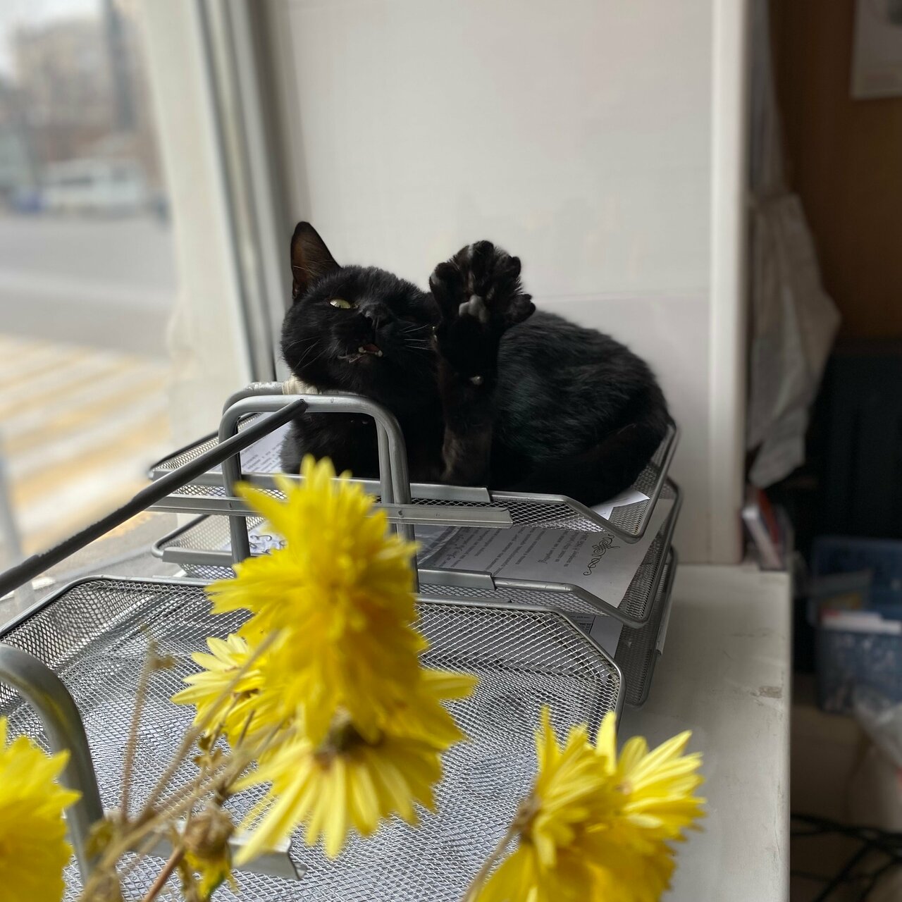 more clinic photos 8591