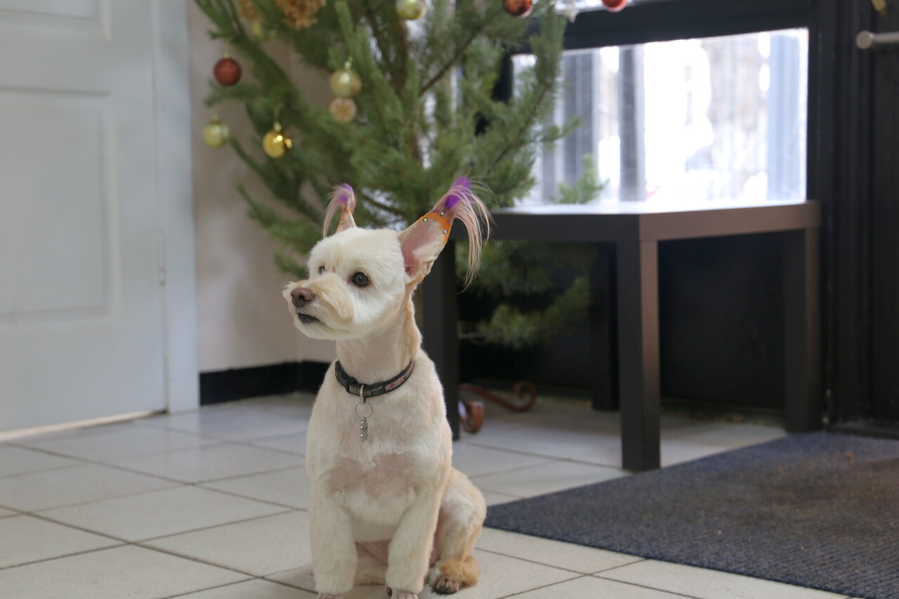 more clinic photos 30504