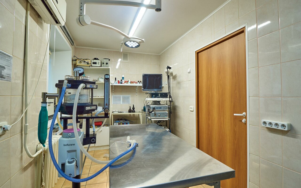 more clinic photos 6544