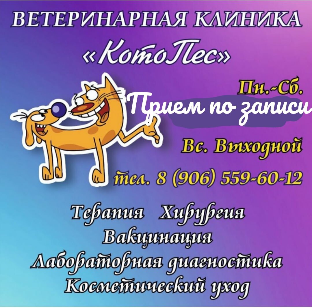 clinic general image