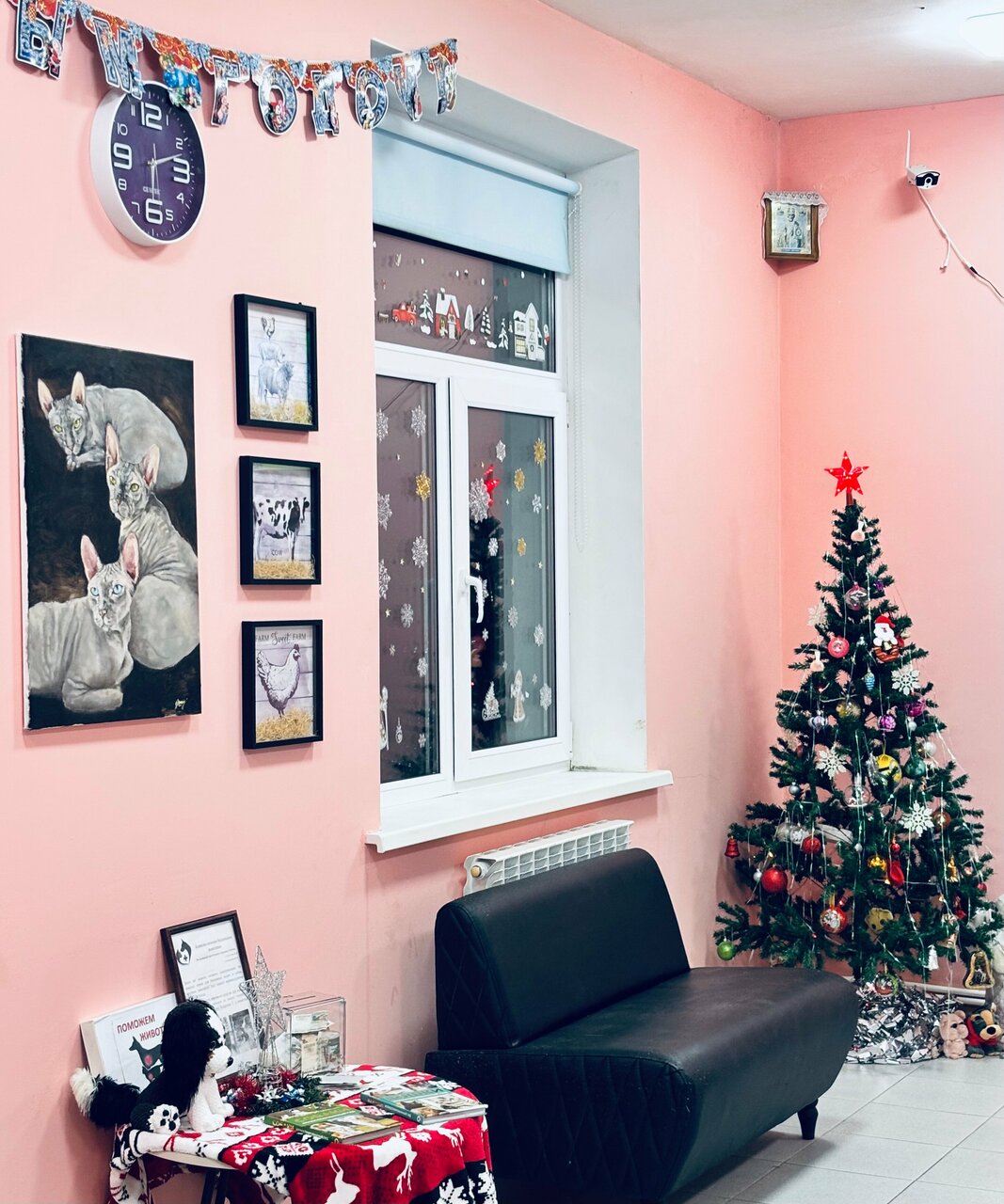 more clinic photos 36842