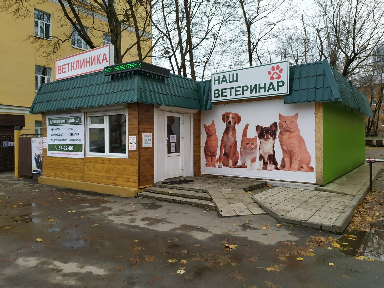Наш Ветеринар