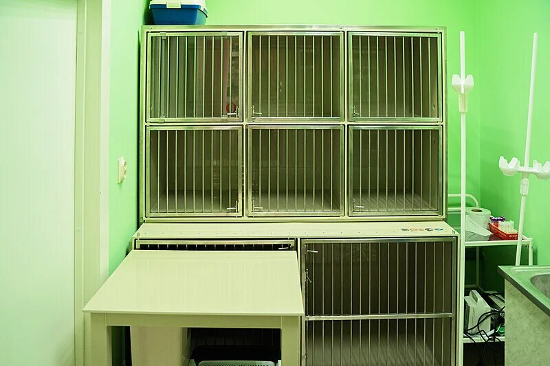 Фото клиники 66428