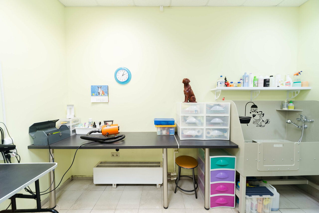 more clinic photos 70429