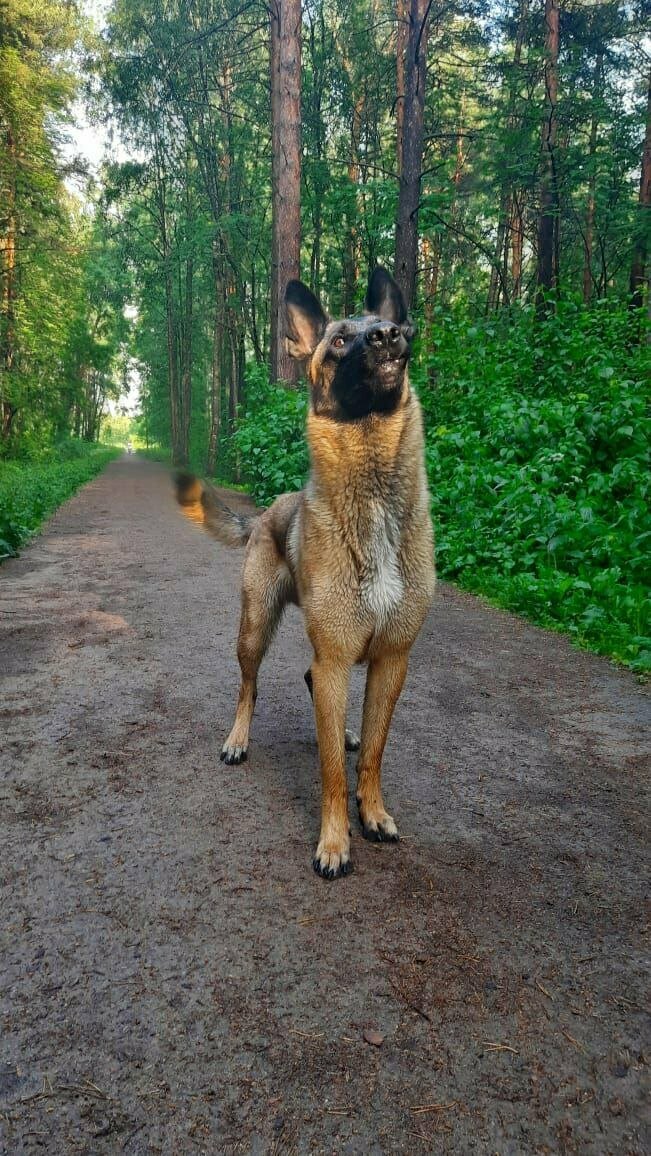 Фото клиники 53477