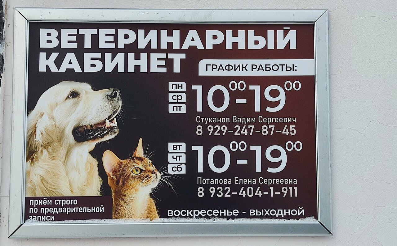 Фото клиники Ветеринар Потапова Е. С.
