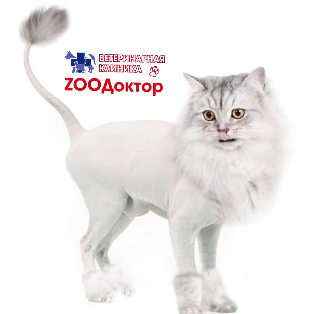 clinic general image