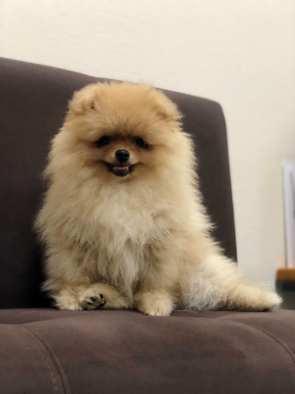 more clinic photos 80428