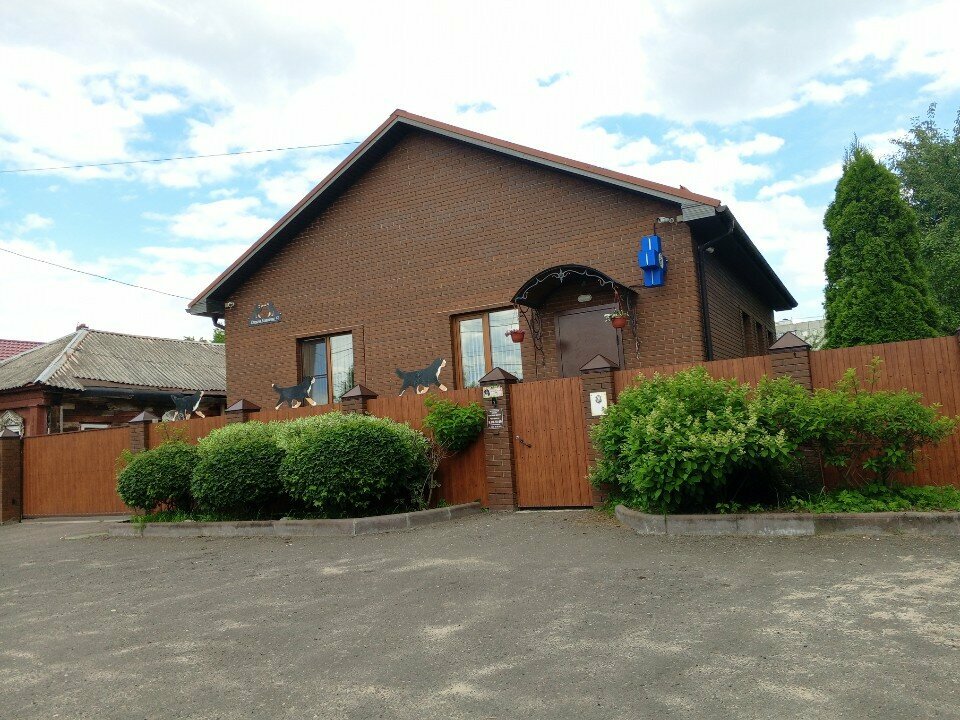 Семейный доктор