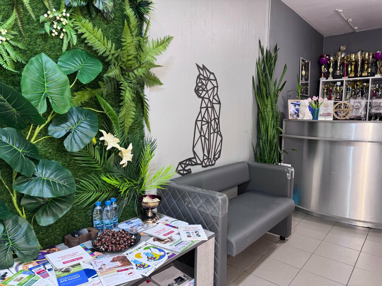 clinic general image