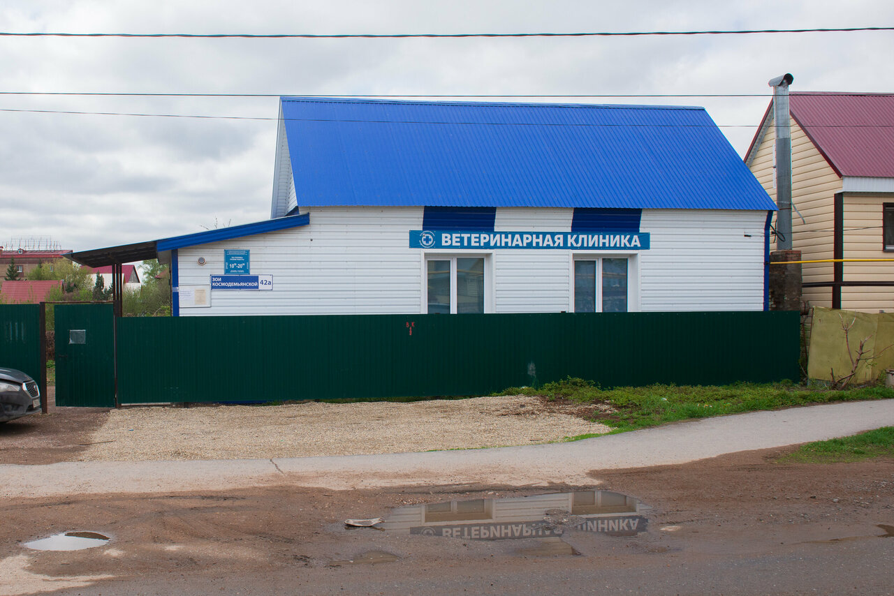 Фото «Ветеринарная клиника Кировского района»