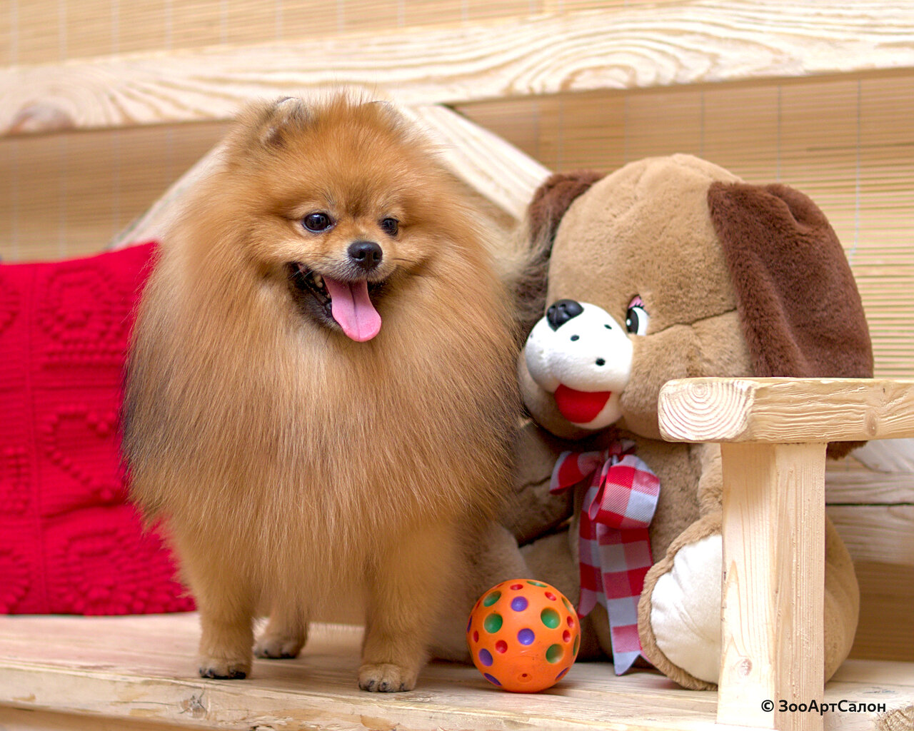 clinic general image