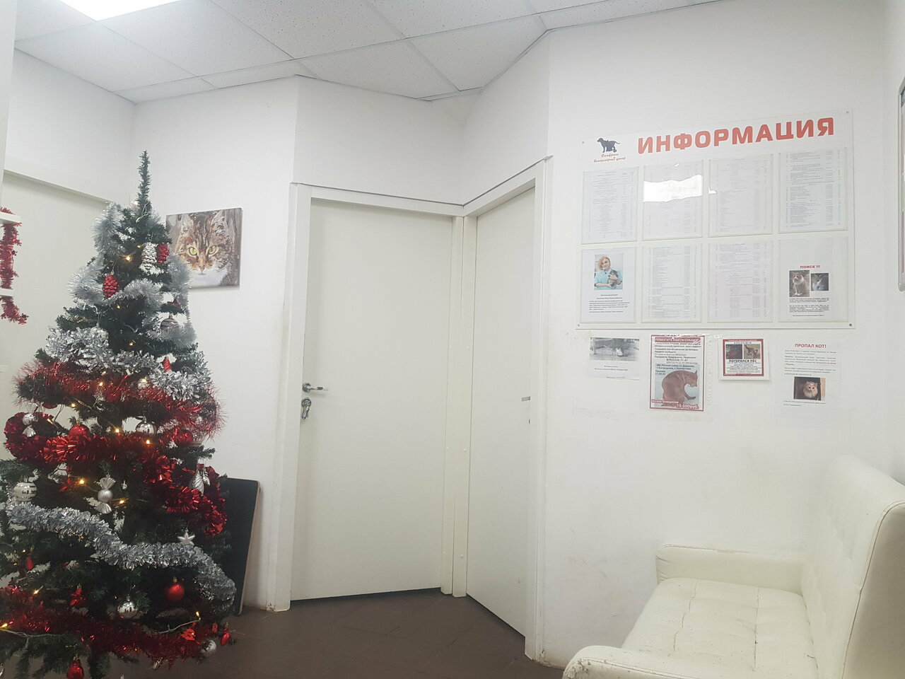 more clinic photos 41456