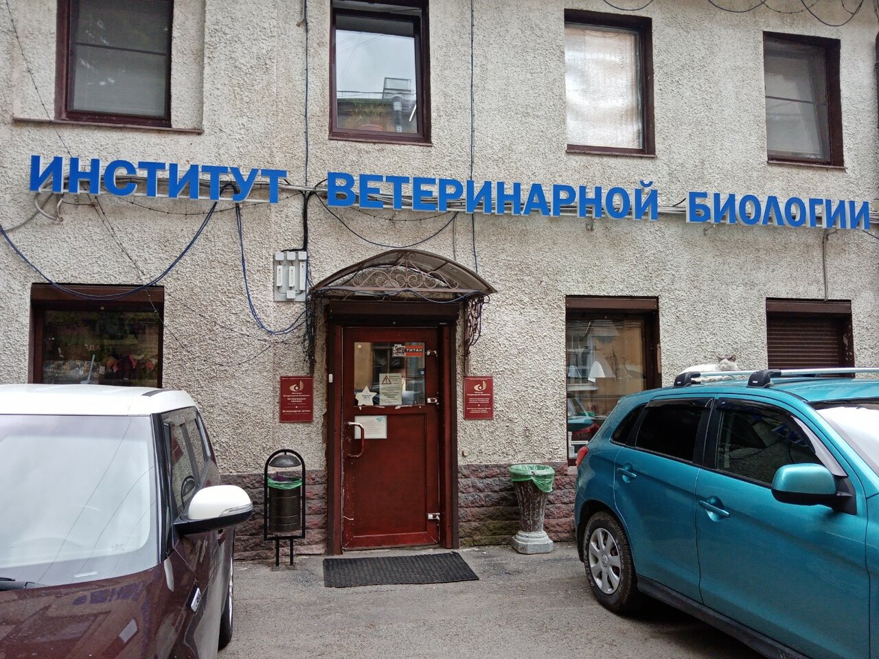 Фото «Институт ветеринарной биологии»