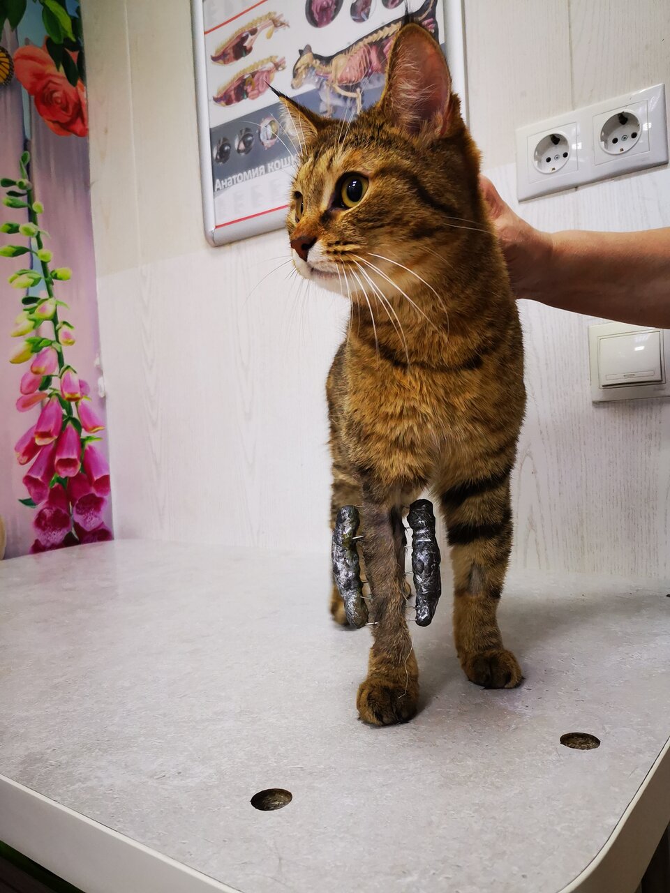 more clinic photos 18786