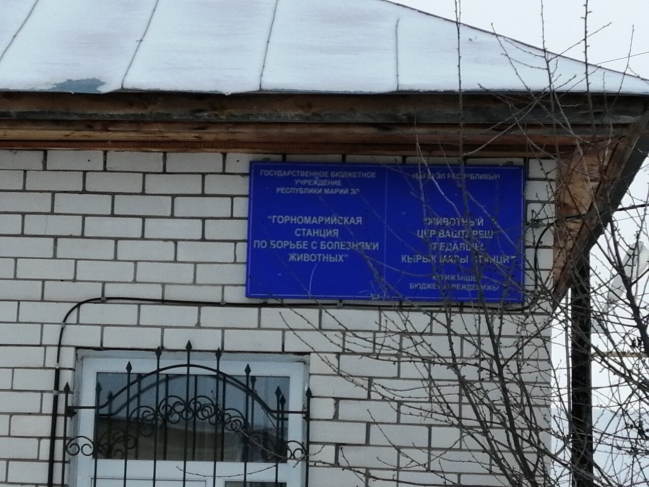 Ветеринария