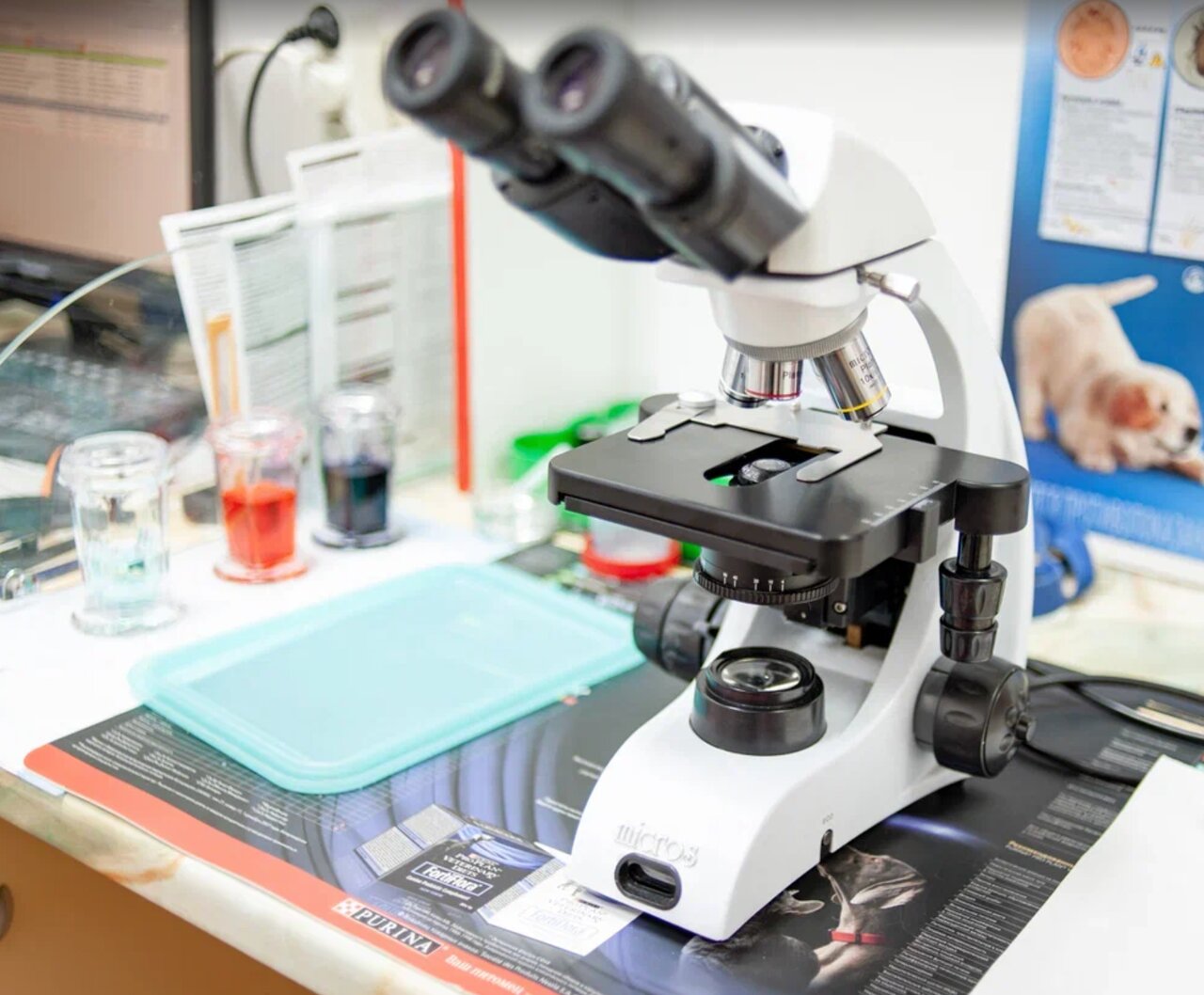 more clinic photos 14982