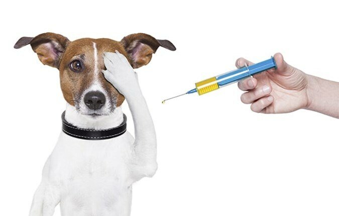 clinic general image