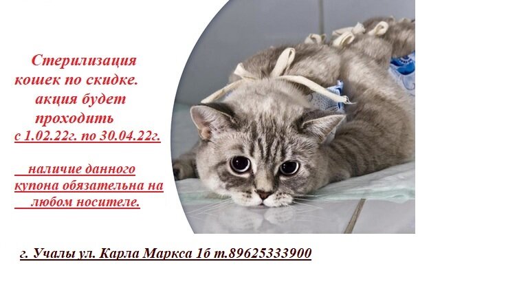 Ветеринарный кабинет