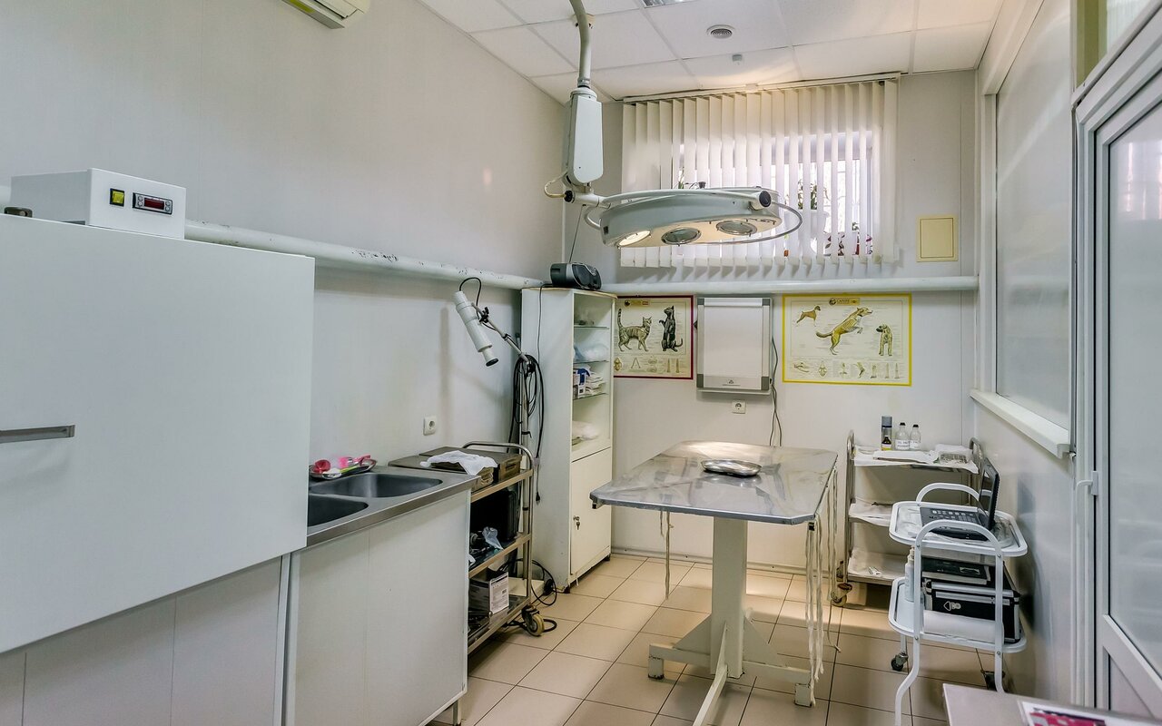 more clinic photos 4536