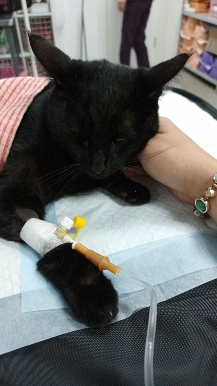 more clinic photos 78911