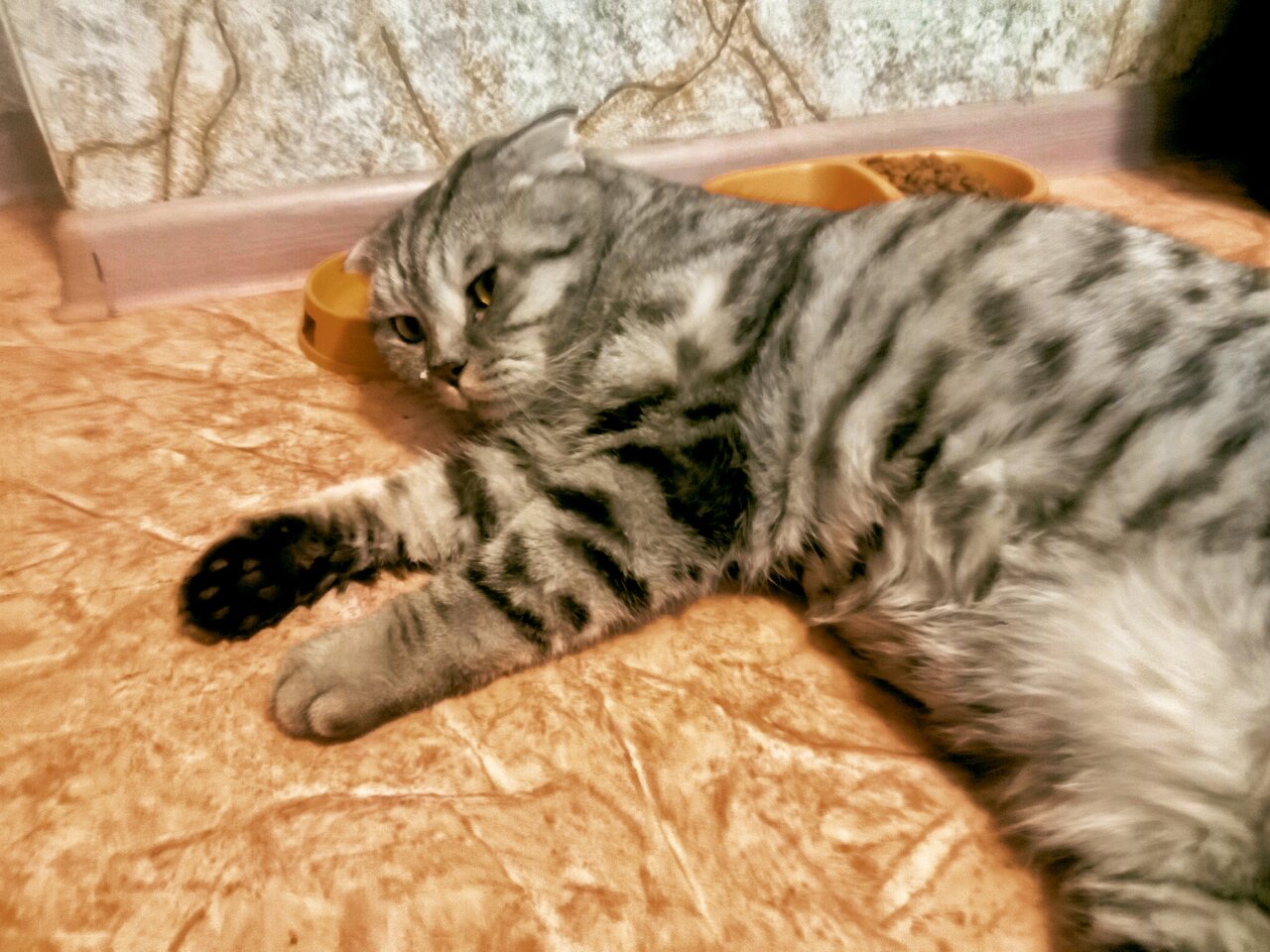 Государственное ветеринарное управление муниципального округа город Чкаловск