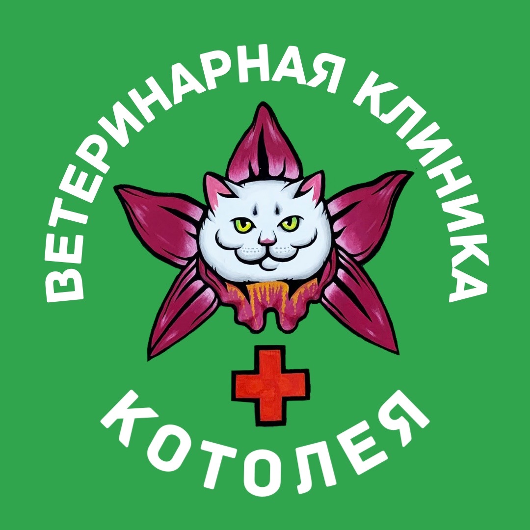 Логотип клиники