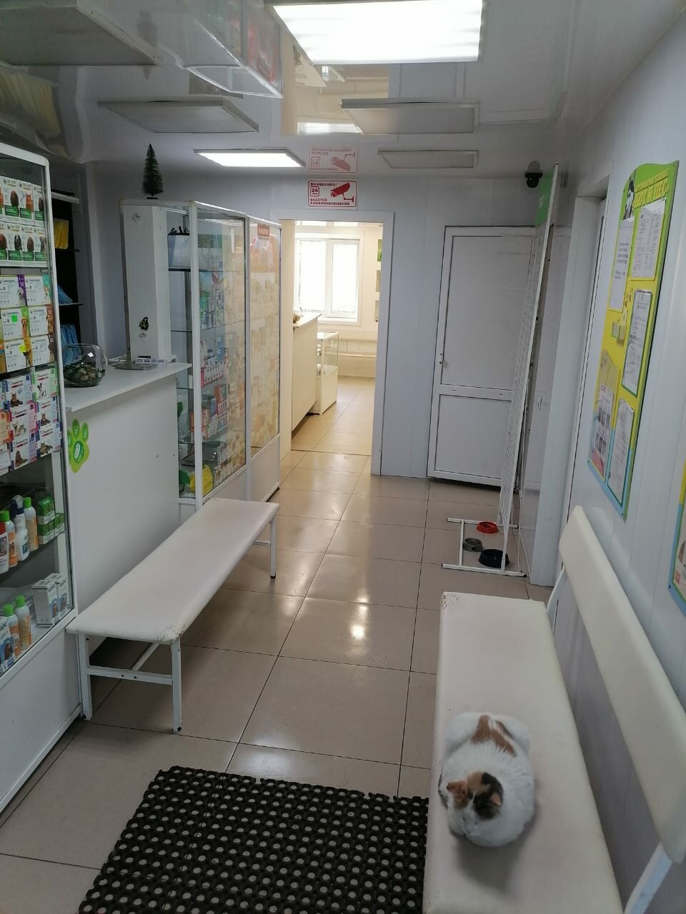Фото клиники 10476