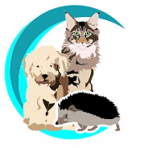 Логотип клиники